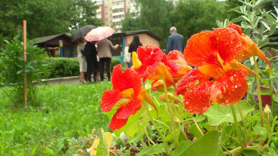 калуга-вцвету3-0716.jpg