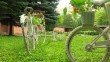 калуга-вцвету0716.jpg