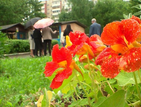 Во второй этап конкурса «Калуга в цвету» вышло более 300 участников