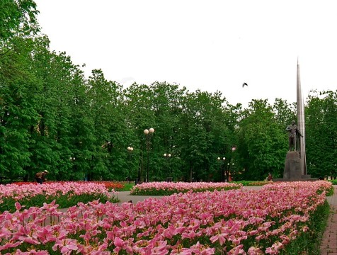 В Калуге намерены реализовать концепцию «зелёного города»