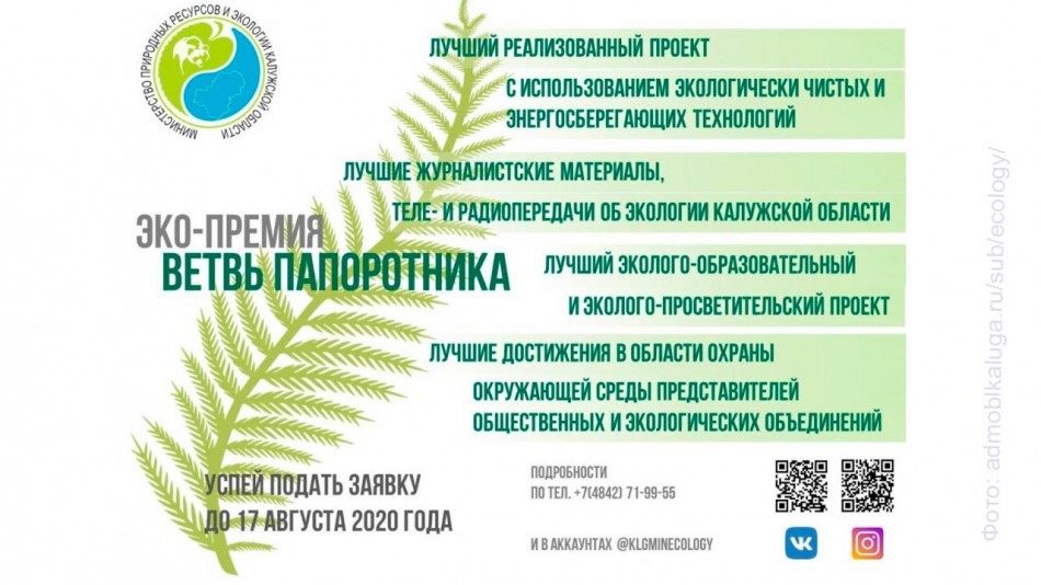 ветвь-папоротника0718.jpg