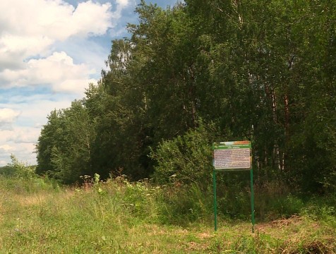 Калужане могут помочь облагородить Можайский овраг