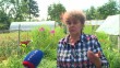 калуга-урожайная1-0721.jpg