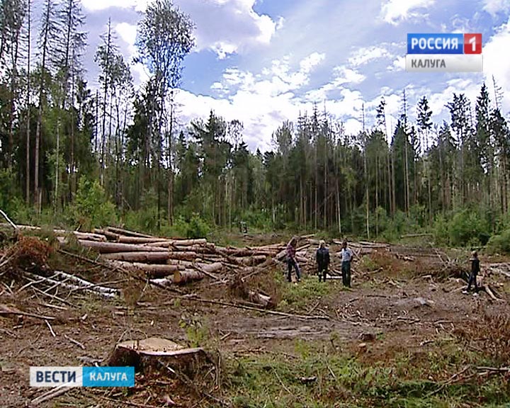 жук-усачь2-0706.jpg