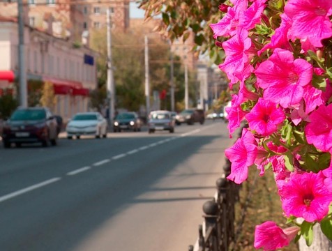 Министр дорожного хозяйства заявил, что камеры на Кирова не нужны