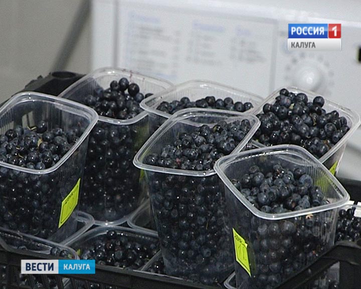 Черника0707.jpg