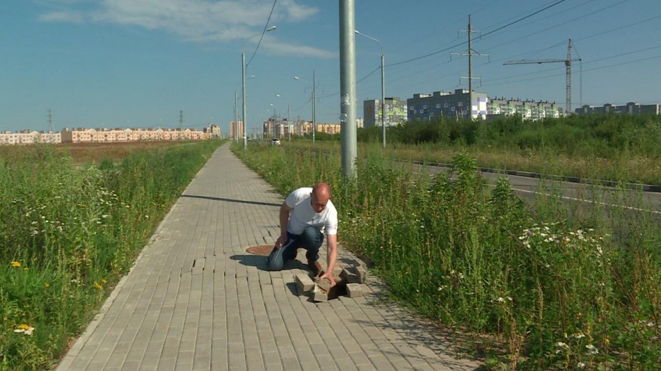дорога-шопино-0729.jpg