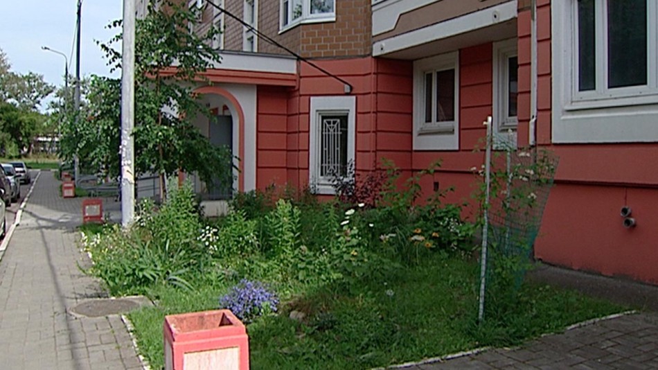 двор1-0729.jpg