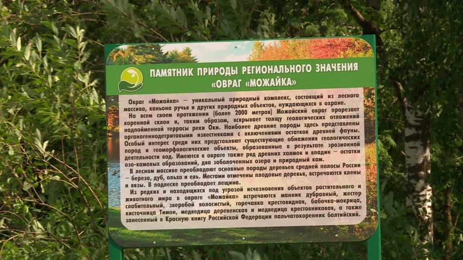 овраг-можайка0722.jpg