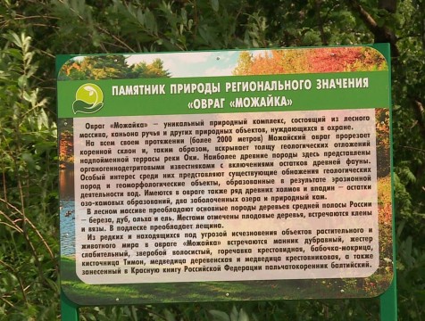 Проект для всероссийского конкурса «Можайка» планируют реализовать на уровне города
