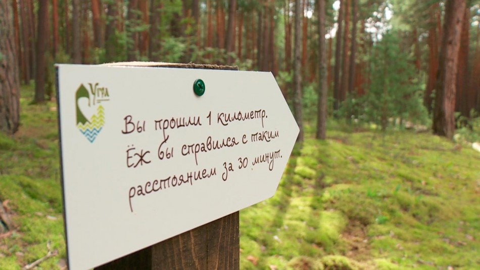 экотропа0803.jpg
