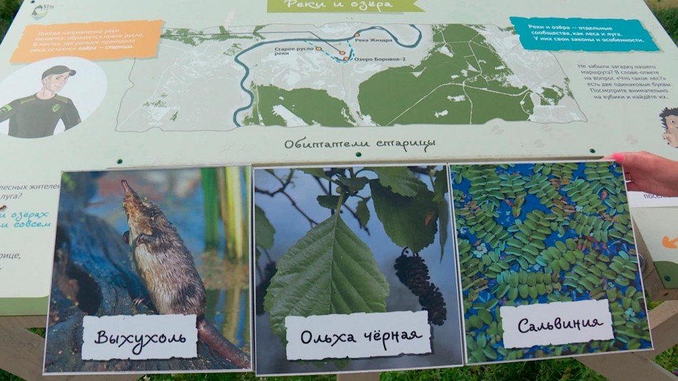 экотропа1-0803.jpg