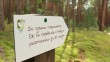 экотропа0803.jpg