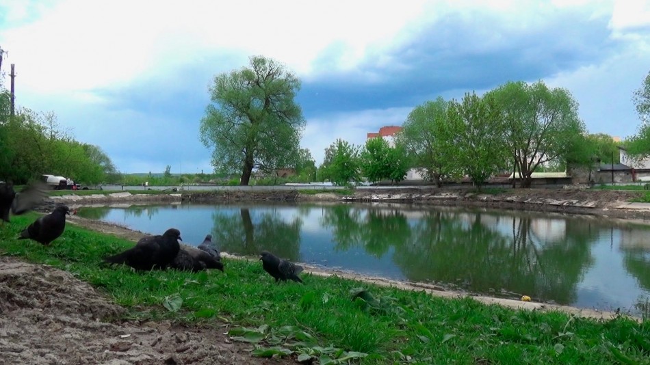Пруд-Пухова-0804.jpg