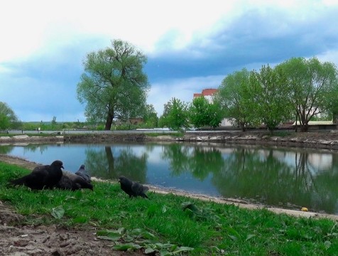 Работы по благоустройству Пуховского пруда затягиваются