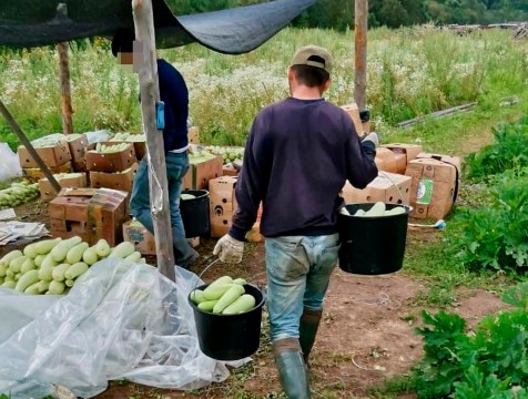 Ферму с нелегальными мигрантами обнаружили в Жуковском районе
