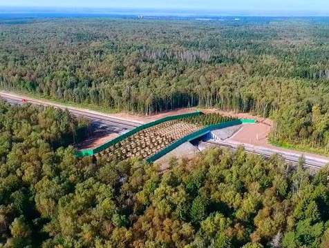 В 2020 году дикие животные «не жалуют» экодук над трассой М3 «Украина»