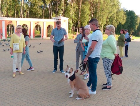 Трех калужских собаководов оштрафовали на 3000 рублей за ненадлежащий выгул животных