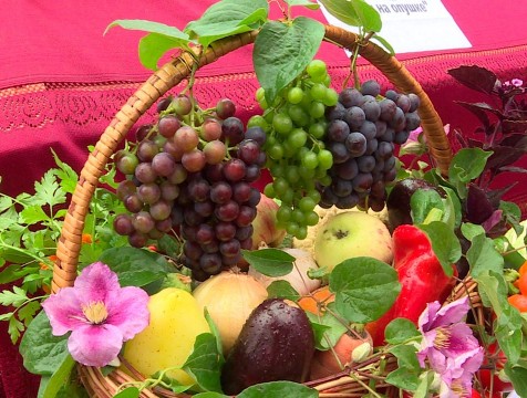 Яблочный Спас в Брыни отпраздновали фестивалем и дегустацией угощений из яблок