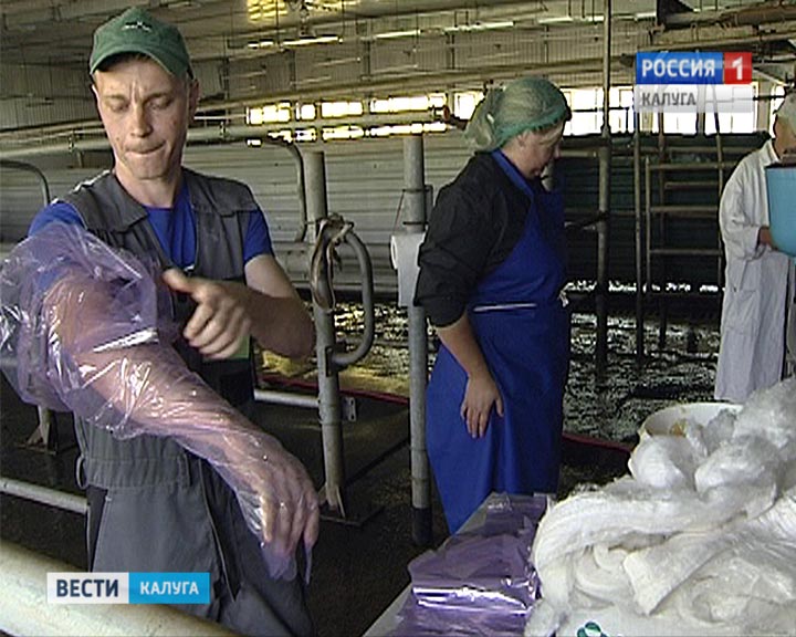 Конкурс-осеменение0714.jpg