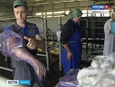 В Перемышльском районе выбрали лучшего в области оператора искусственного осеменения