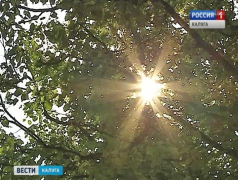 В Калугу идёт тропическое лето