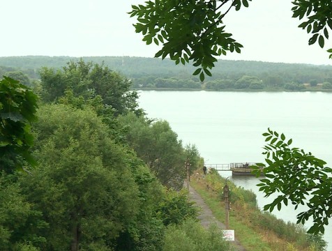 В селе Брынь появится парк Пришвина