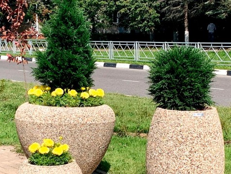 В Обнинске недосчитались кустарников на улице Жукова