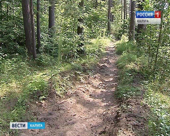 Лес0715.jpg