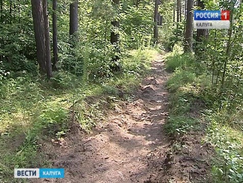 В регионе превышен риск возникновения лесных пожаров