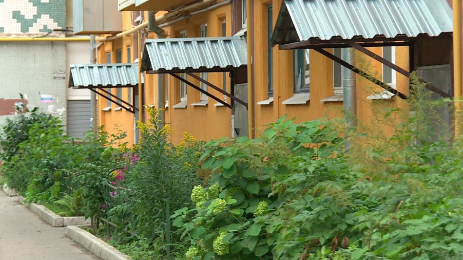 двор-дом0825.jpg