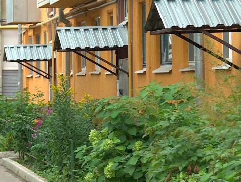 В конкурсе «Дом образцового содержания» новички не намерены уступать опытным участникам