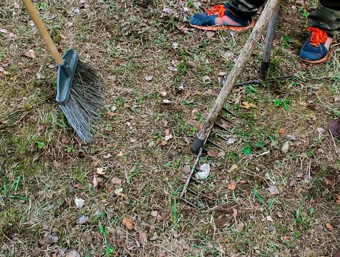 Калужан приглашают на субботники