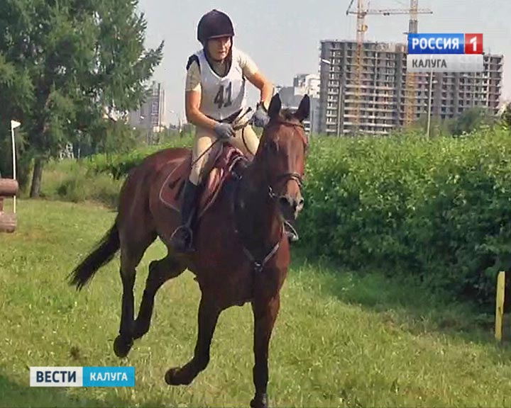 Конный-спорт0719.jpg