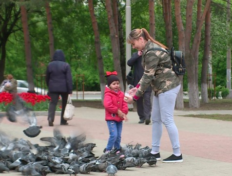 Срок подачи заявлений на выплаты семьям с детьми истекает 30 сентября