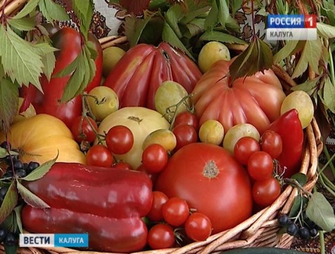 Приём заявок на конкурс «Калуга урожайная» завершился
