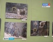 Выставка-росписи05-0720.jpg