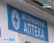 Ветаптека-0725.jpg