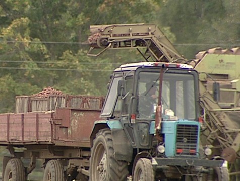 На полях региона подходит к концу уборочная страда