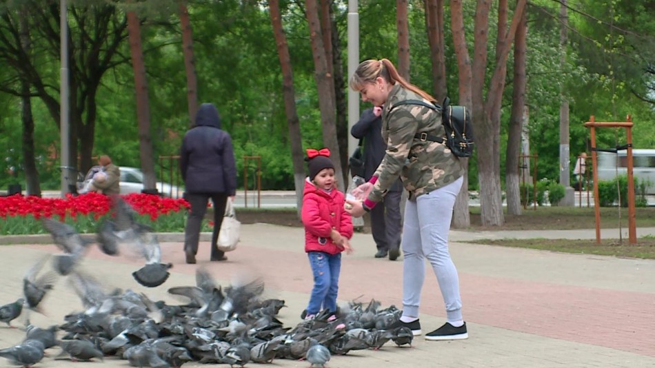 дети-голубь-погода-0522.jpg