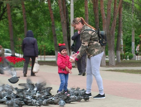 Для подачи заявлений на детские выплаты остается несколько дней