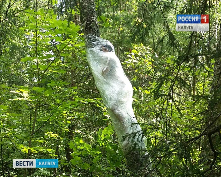 Архстояние03-0723.jpg