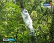 Архстояние03-0723.jpg