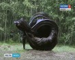 Архстояние11-0723.jpg