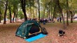 День-юного-турист2-0924.jpg