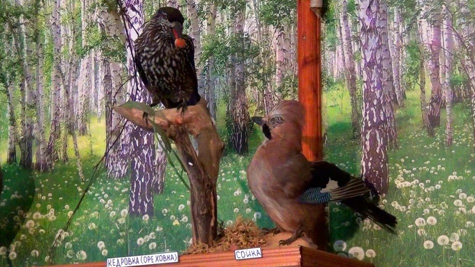 Музей-СССР4-0928.jpg