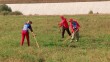 Сельские-игры1-0928.jpg