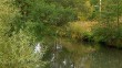 Река-Терепец1-0929.jpg