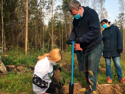 В Людиновском районе появился новый лес
