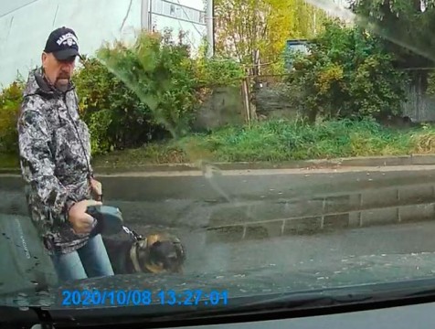 В Обнинске водитель наехал на пешехода с собакой